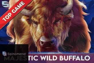 Majestic Wild Buffalo